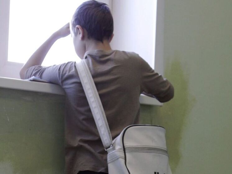 Скандал в красноярской школе: педагог применила силу к семикласснику