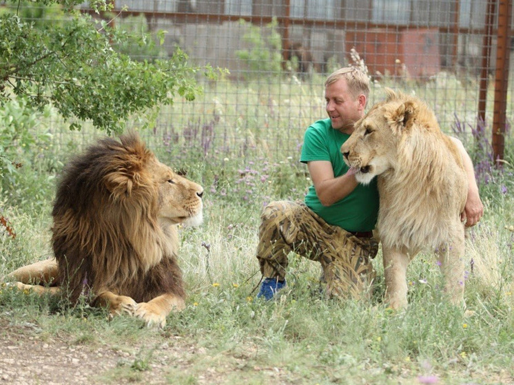 Владелец крымского парка «Тайган» Зубков восстанавливается после нападения льва