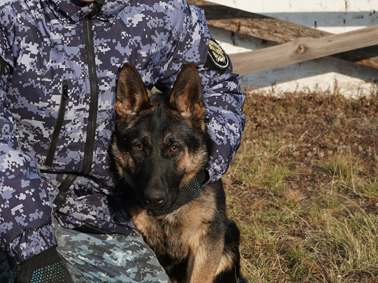 В Алтайском крае «немцы» поступили на службу в УФСИН