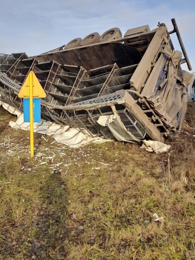 На трассе «Каспий» водитель не справился с управлением