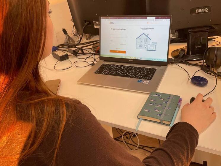 Быстро и удобно: как платить за электричество не выходя из дома