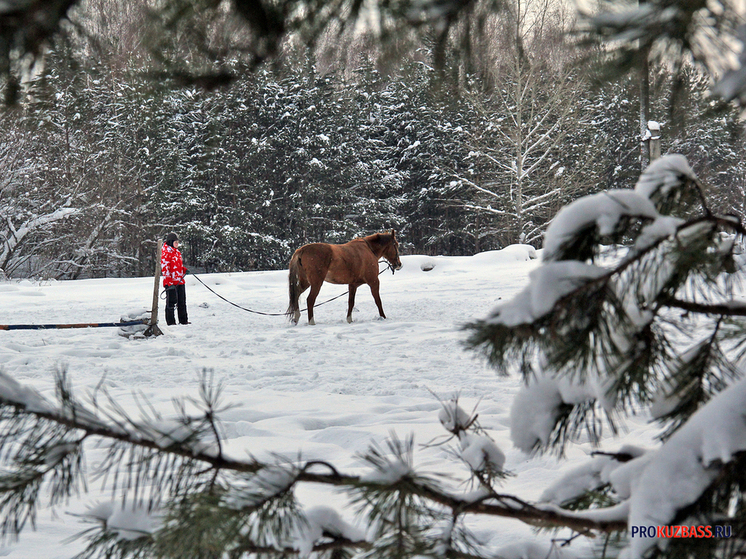 Атлантический циклон обрушил на Кузбасс снегопад