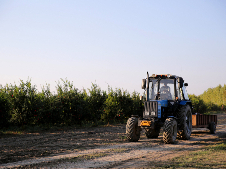 Производственная драма: тамбовская Гострудинспекция расследует случай травматической ампутации у тракториста