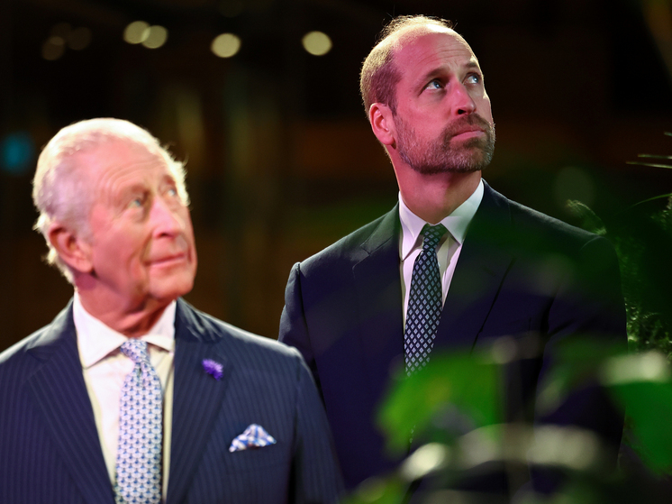 Разногласия между Карлом III и Уильямом усилились из-за принца Эндрю