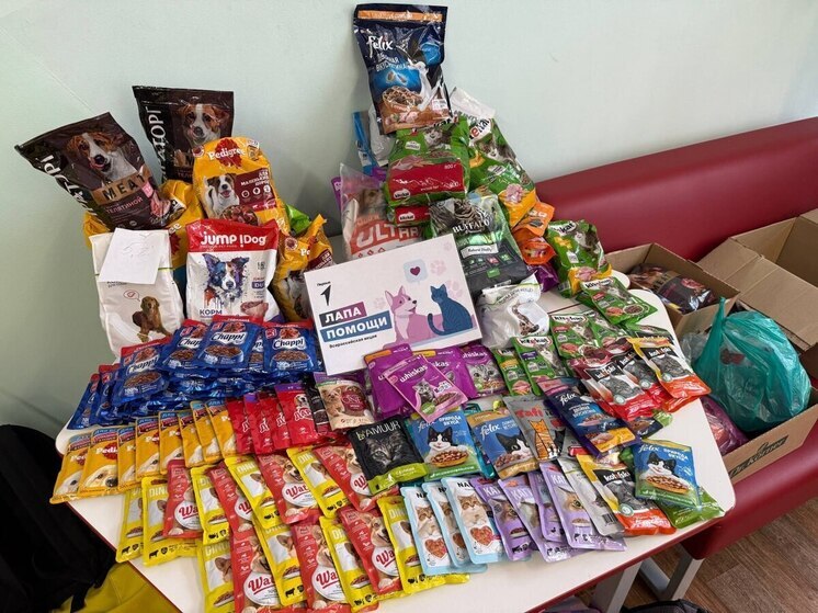 Пущинские школьники присоединились к Всероссийской акции «Лапа помощи»