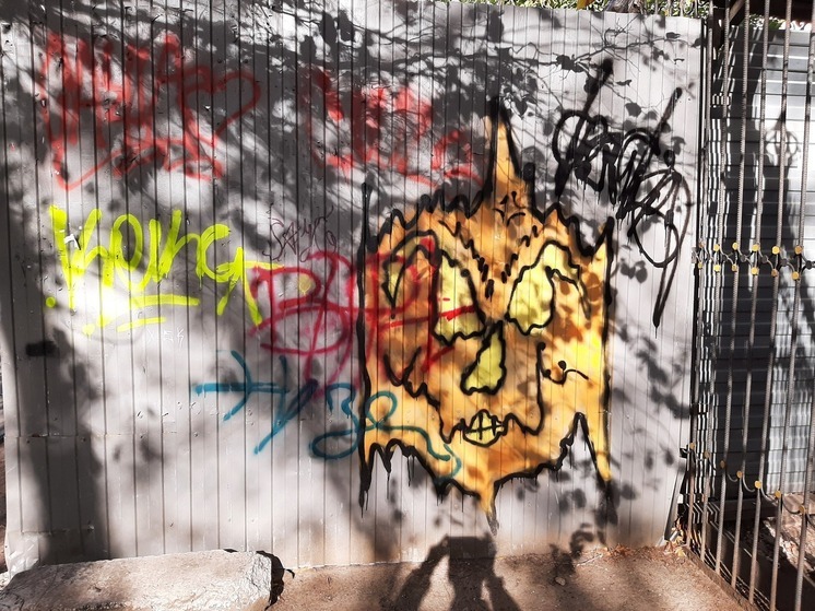 Депутаты Саратова не решили,  кто будет смывать наркограффити со стен домов