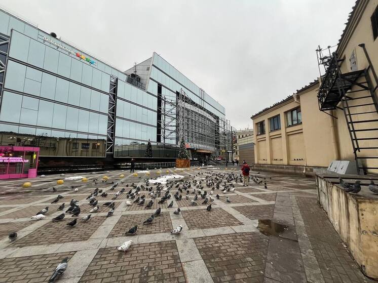 Сенная площадь в Петербурге оказалась под контролем «упитанных» голубей