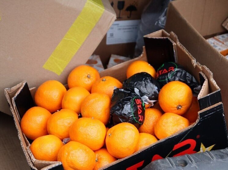 Гуманитарная помощь отправлена бойцам СВО от «Единой России» Запорожской области и Чувашии