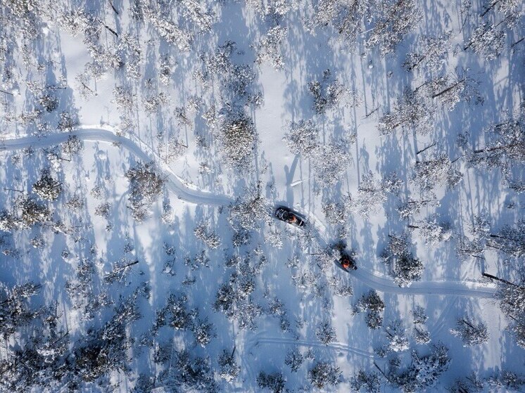 В Югре нефтяники развивают технологии экологичной сейсморазведки