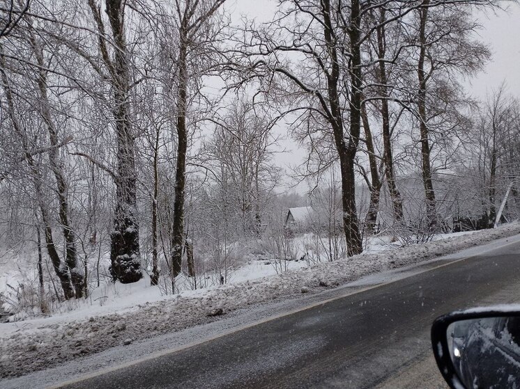 Туман, гололедица и температура около 0 градусов будет в Ленобласти 26 ноября
