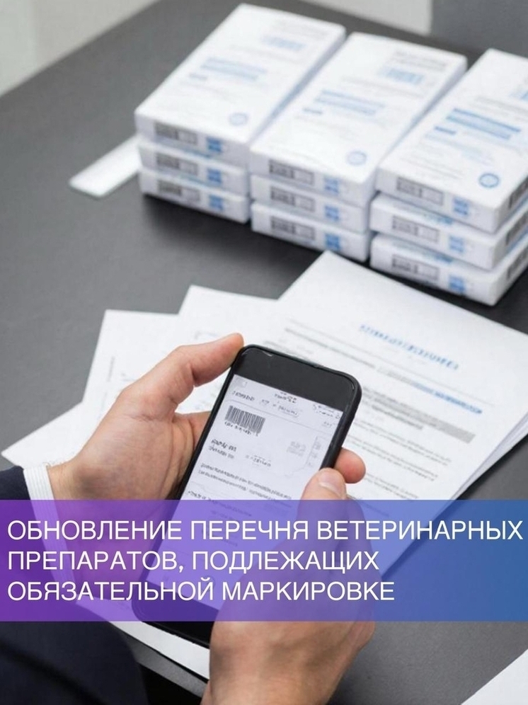 Строгий контроль: В Тамбовской области вводят обязательную маркировку для новых видов ветпрепаратов