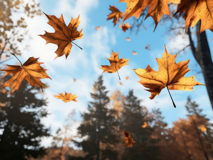 16 градусов тепла прогнозируют в Херсонской области 26 ноября