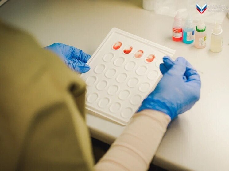 В Запорожской области прошла акция по сбору донорской крови #МЫВМЕСТЕ