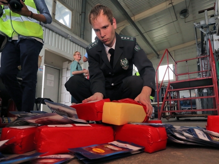 Более 509 тонн продуктов уничтожили в Петербурге за нарушение санкций