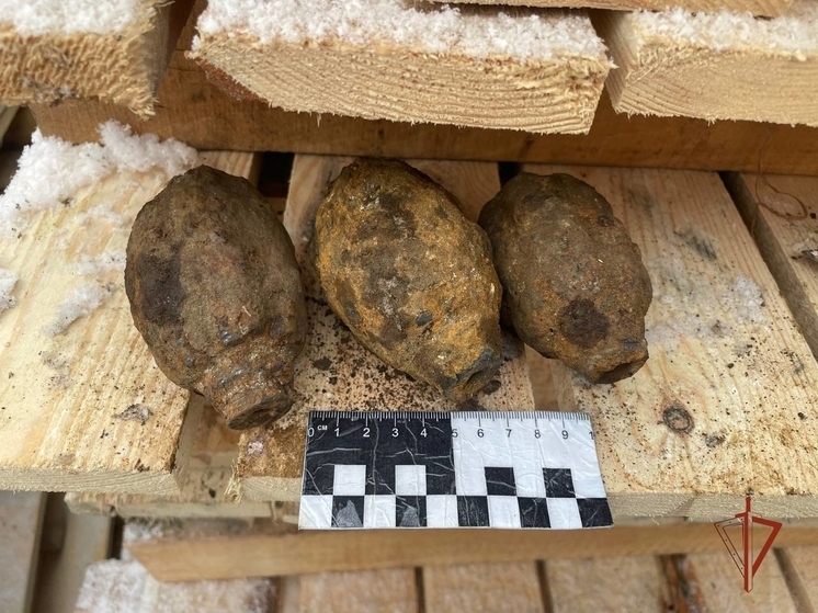 В Челябинске сотрудники Росгвардии обезвредили боеприпасы, найденные на стройке