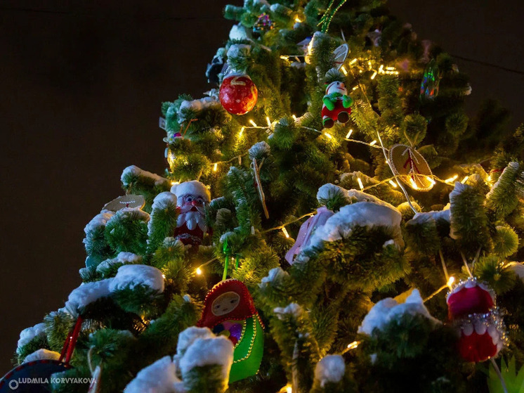 Главную площадь столицы украсят пять новогодних деревцев