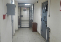 Реже давать отсрочку отбывания наказания беременным и женщинам с детьми в возрасте до 14 лет стали российские суды