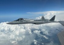 ВС РФ использовали новый вид оружия при ракетно-беспилотной атаке по тылам Украины в ночь на 25 ноября