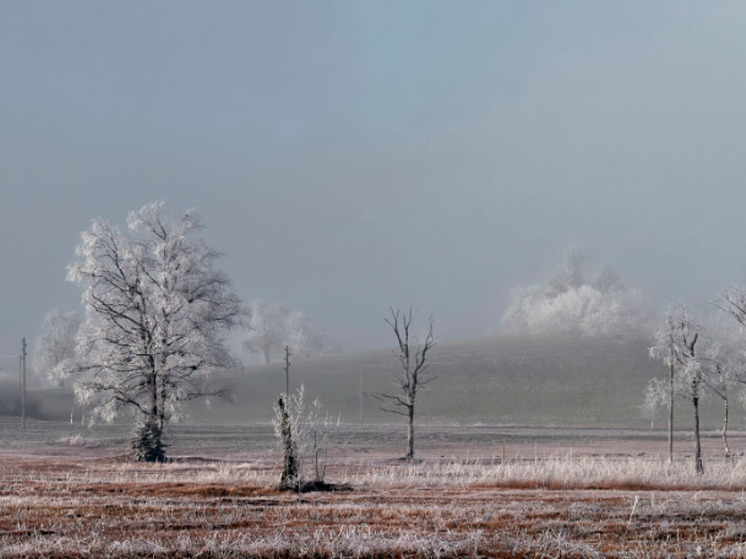 26 ноября синоптики брянцам обещают дожди и туман