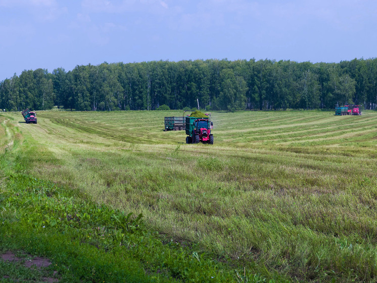 На Южном Урале отметили лучших аграриев и лучший аграрный округ