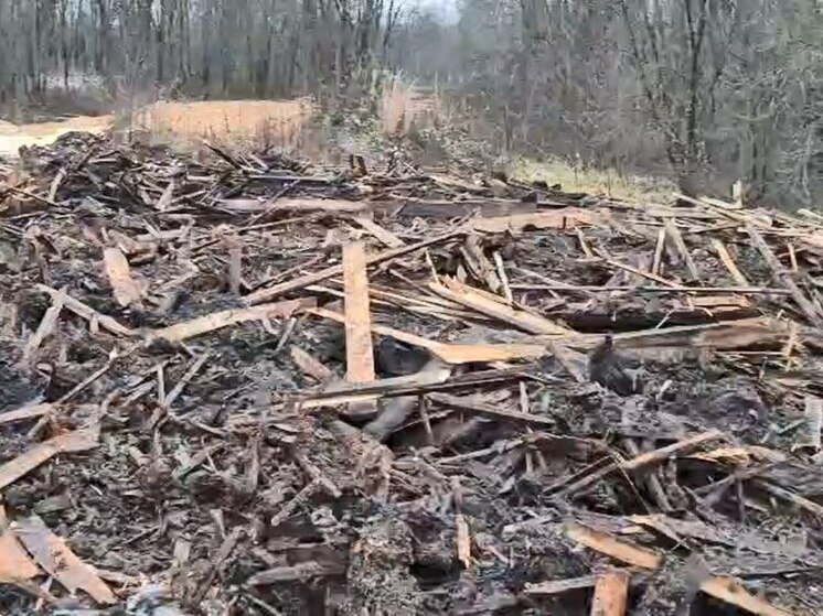 Няндомские лесорубы оставили горы гниющей древесины прямо в черте города