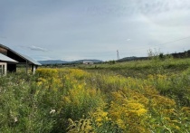 Арбитражный суд Орловской области рассмотрел дело по заявлению Управления по муниципальному имуществу Мценского района к региональному Управлению Федеральной антимонопольной службы