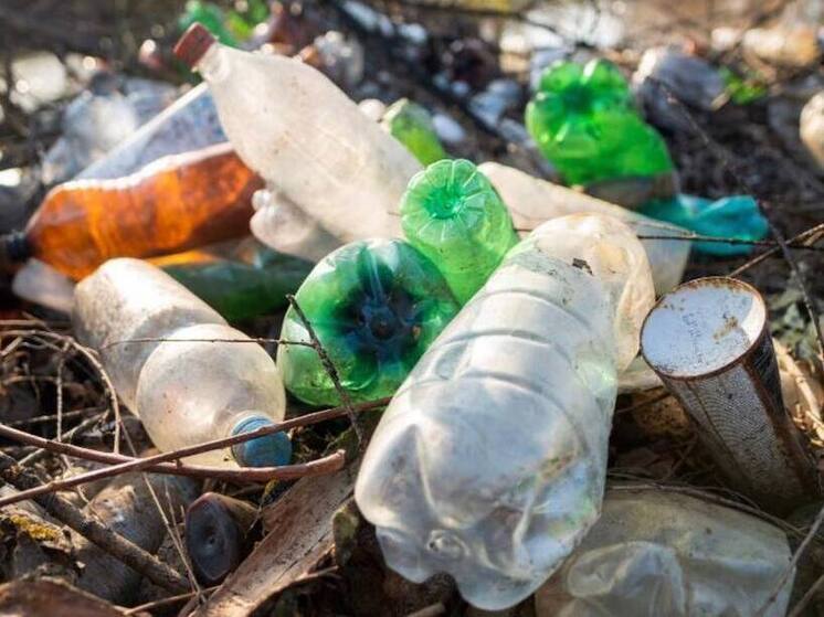 Гололед осложнил вывоз мусора в Новосибирской области