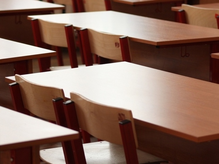 В тульском лицее из-за вспышки гриппа объявили "дистанционку"