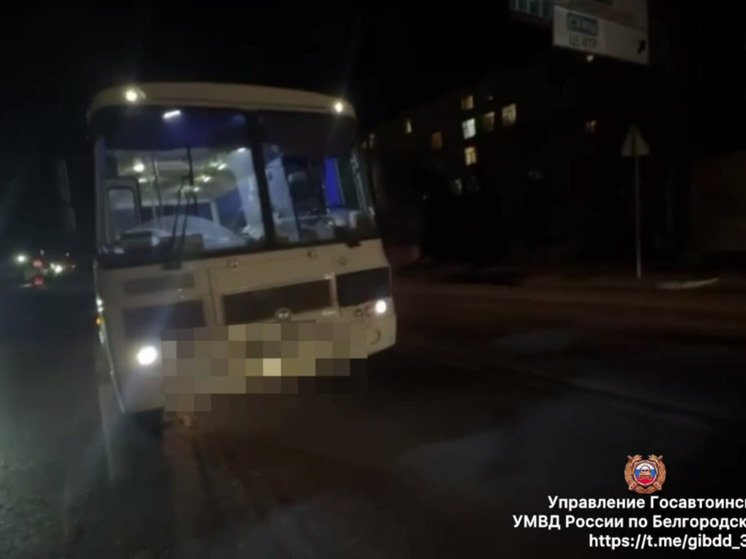 Автобус сбил пешехода в Белгороде