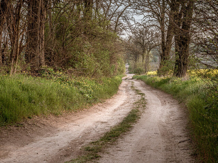 Дорога в Липецкой области отремонтирована после вмешательства прокуратуры