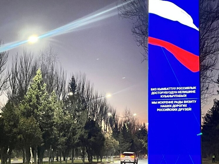 Государственный визит Владимира Путина в Киргизию, начавшийся 25 ноября, стал ключевым событием в российско-киргизских отношениях