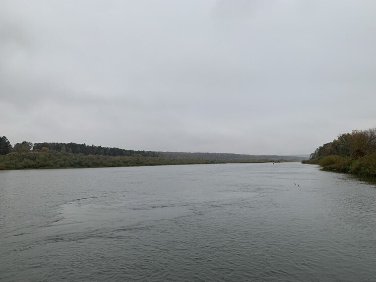 Часть праха Родиона Щедрина и Майи Плисецкой развеяли над водами реки Оки