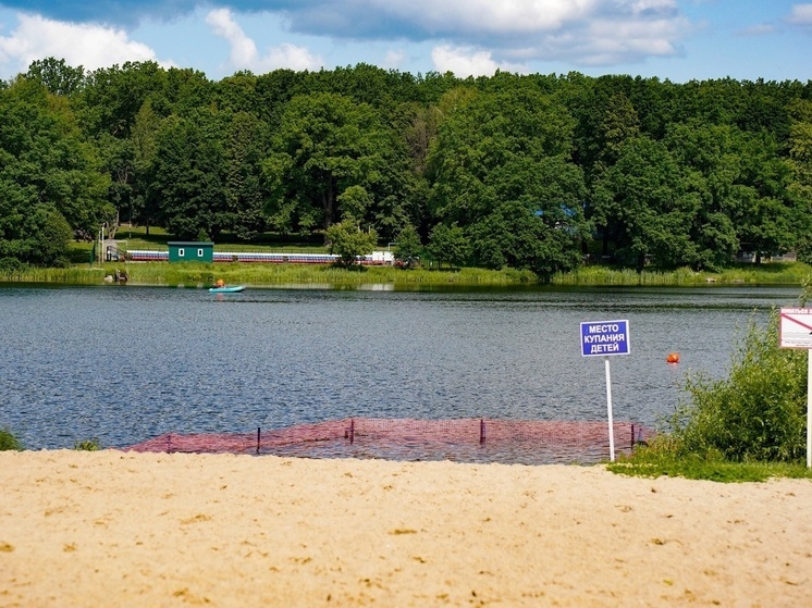 В Туле площадь пляжа Центрального парка обещали увеличить в 2,5 раза