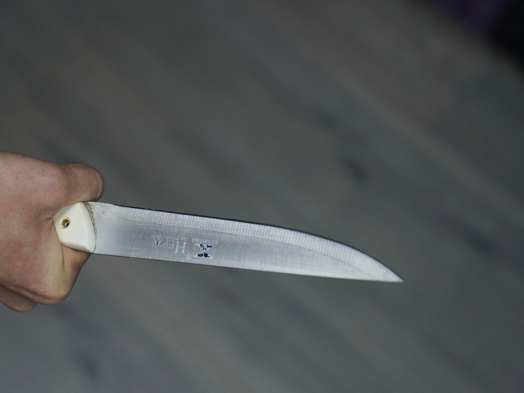 Богородицкий суд перенес заседание по делу женщины, ударившей сожителя ножом