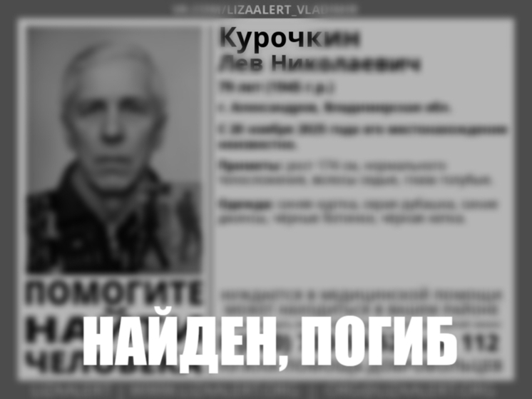 Во Владимирской области мертвым обнаружен пропавший пенсионер
