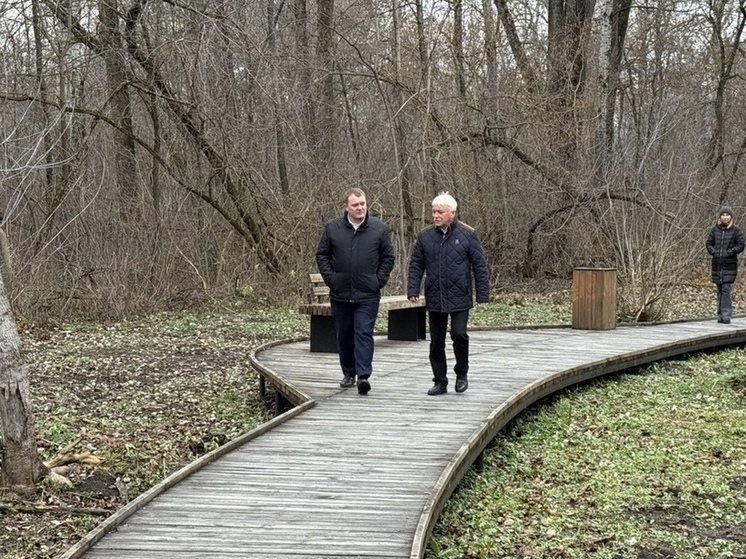 Курские чиновники проконтролировали ход благоустройства парка «Боева дача»