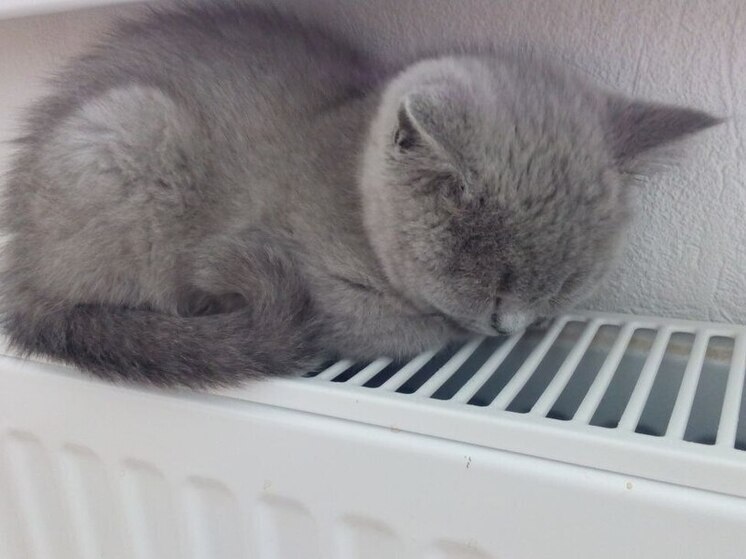 После подключения отопления в Петербурге произошло 149 аварий