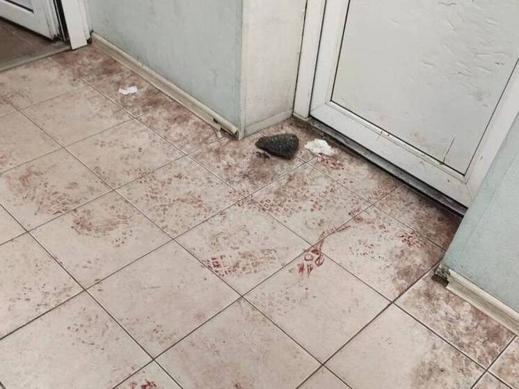 Мужчина получил шесть лет за попытку убийства в кафе в Сестрорецке