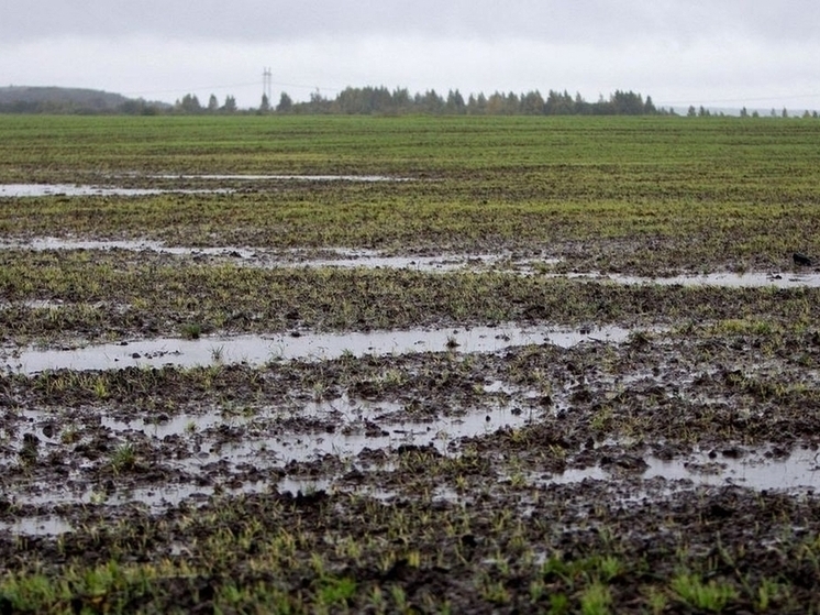 В Орловской области ввели режим ЧС в АПК