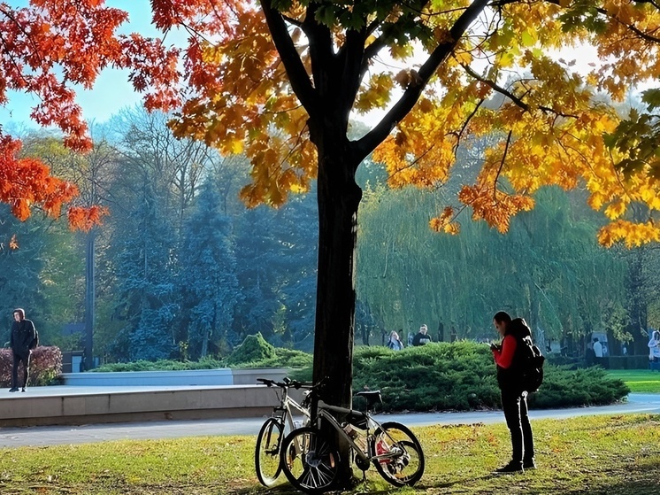 Спрос как с остальных участников движения: как безопасно ездить на велосипеде в городе и за ним