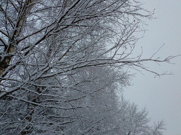 От 0 до −5 градусов будет в Ленобласти 26 ноября