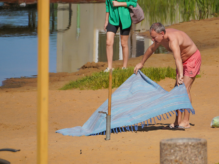 Площадь пляжа в Центральном парке Тулы увеличат в 2,5 раза