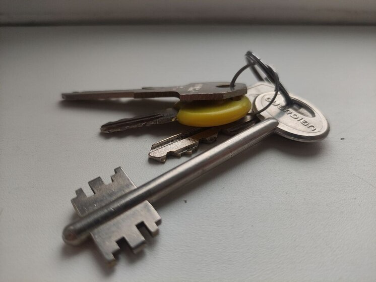 В Петербурге предложили ввести автоматическую проверку объявлений недвижимости