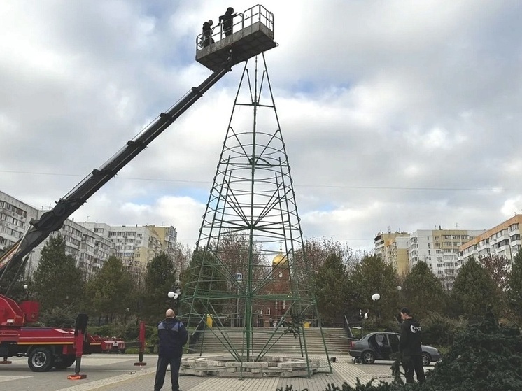 В Краснодаре установили первую из десяти новогодних елей
