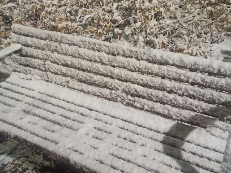 Мокрый снег засыплет Владимирскую область и растает