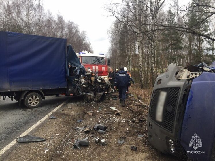 На владимирской трассе произошло лобовое столкновение двух «ГАЗелей»