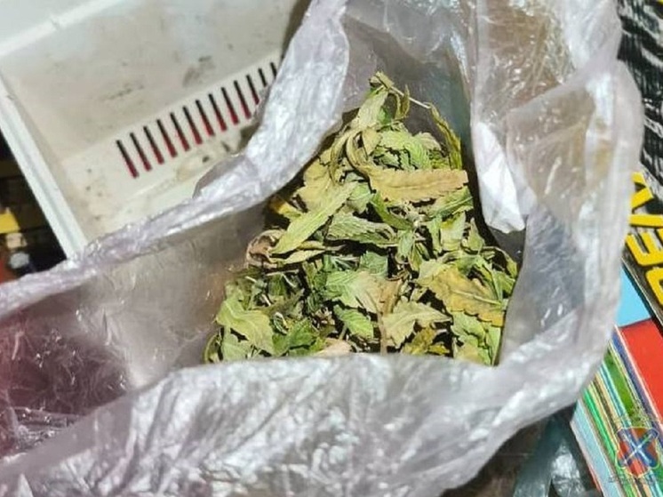 Под Волгоградом правоохранители задержали подозреваемого в сбыте наркотиков