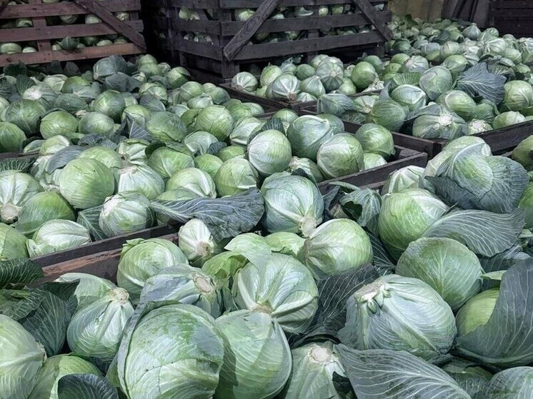 В Ярославской области аграрии собрали хороший урожай