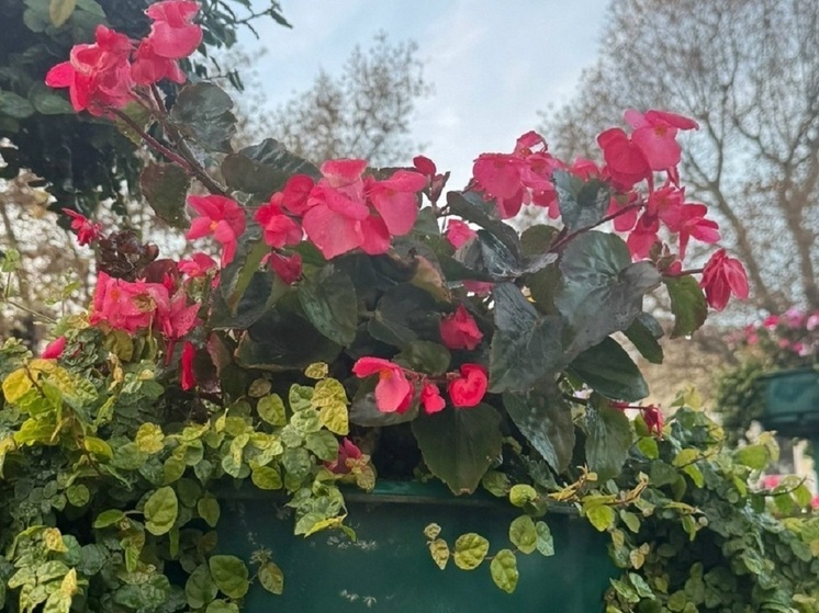 В Магадане заявили, что город остается довольно цветущим