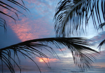 Еще недавно улететь в Юго-Восточную Азию, причем так, чтобы захватить новогоднюю ночь, было не просто дорого, а очень дорого, -- а тут вдруг эти туры подешевели почти вдвое